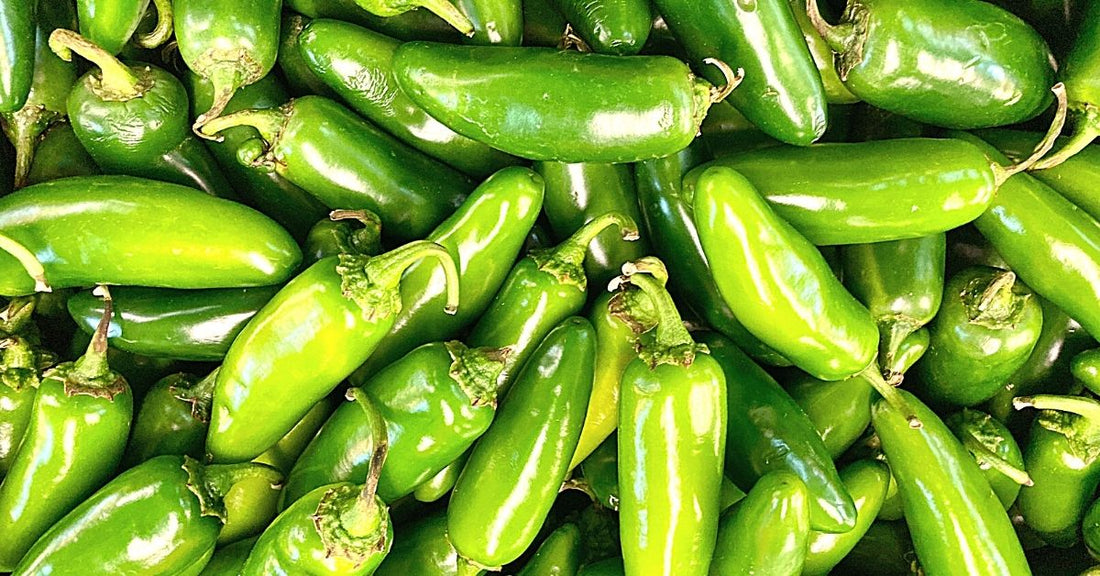 pile of jalapeno peppers